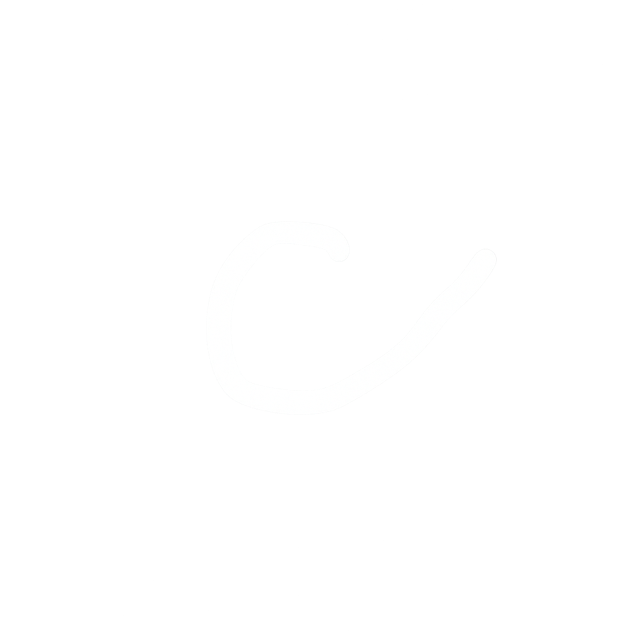 ChristNow Logo
